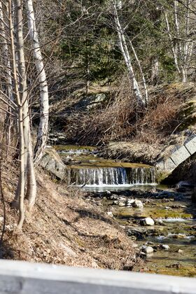 Löffelmacherbach boder-0939-2025-03-06.jpg
