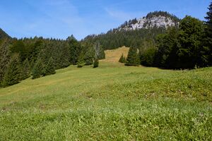 Leistenalm-2010-2021-07-27-2.jpg