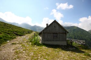 Mahdfeldalm 2575 13-07-09.jpg