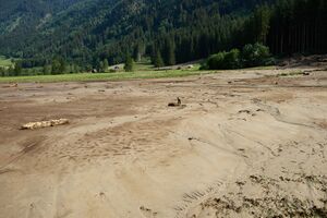 Mure Untertal-065-2026-06-30.jpg