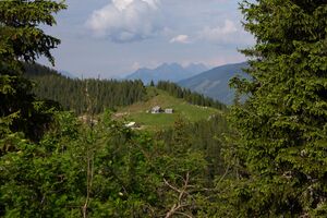 Plotscherhütten 84467 2014-06-18.jpg