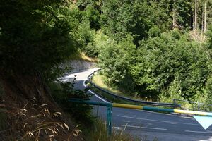 Ramsauer strasse 67089 2014-08-02.jpg