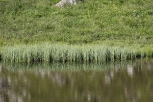 Südl-see tuchmoarkar 79713 2018-07-04.jpg