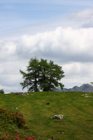 Schobersee 93222 2015-06-26.jpg