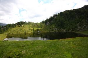 Schobersee 93228 2015-06-26.jpg