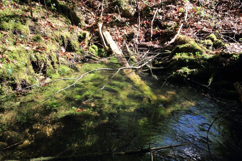 Datei:Strummern mühlreith 47217 2017-05-17.jpg