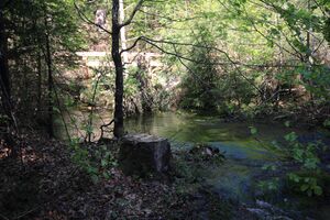 Strummern mühlreith 47220 2017-05-17.jpg