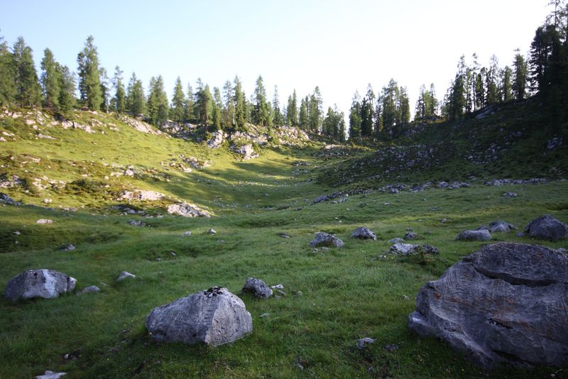 Datei:Z´sammtreibboden-kemetgebirge 97050 2015-07-16.jpg