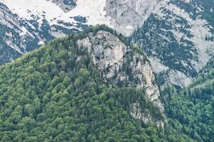 2017-05-19 DSC0042.jpg