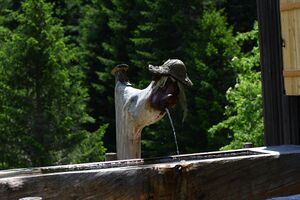 Beireutalm 90066 2015-06-08.jpg