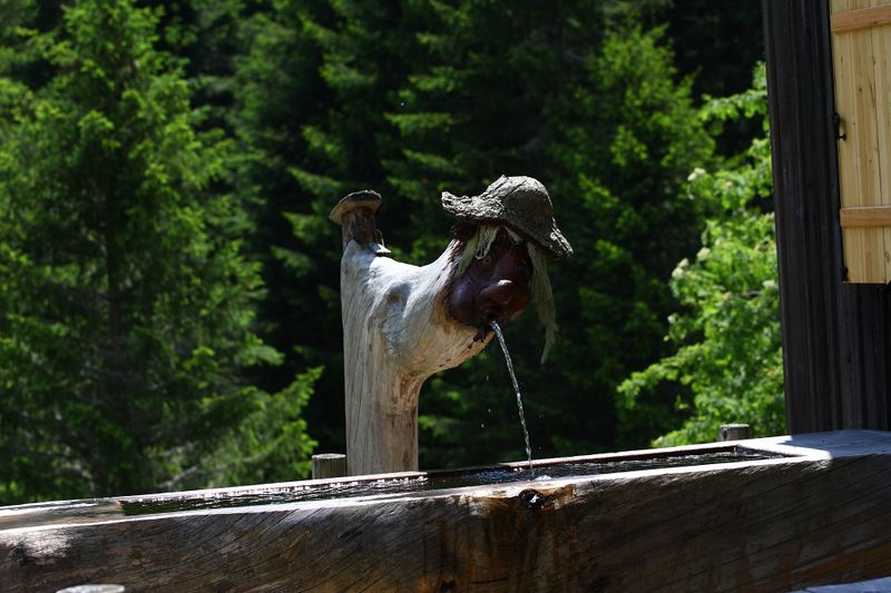 Datei:Beireutalm 90066 2015-06-08.jpg