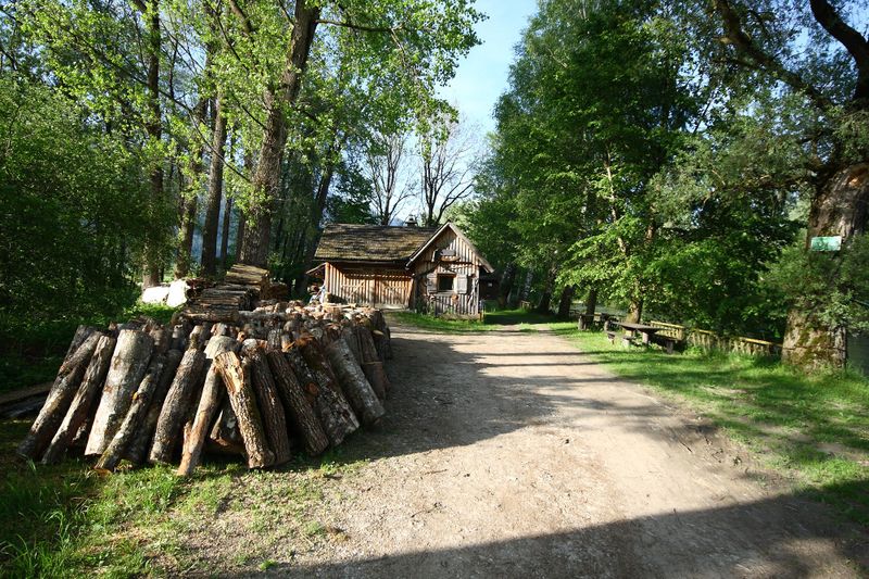 Datei:Enns-Altarme Niederstuttern 58383 2014-05-21.jpg