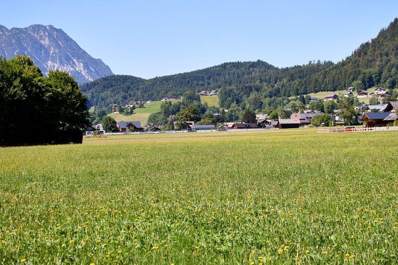 Datei:Fischererfeld Fischerndorf-514-2026-08-13.jpg