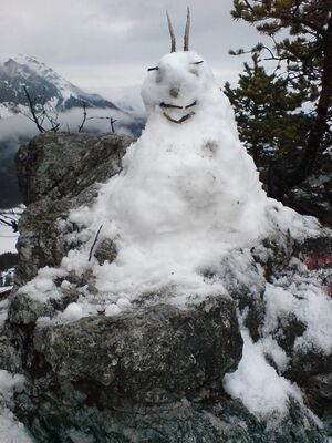 Freienstein h.hofer 15053 2015-12-05.jpg