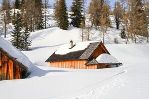 Gössleralm-salzofen 2624 2008-02-04.jpg