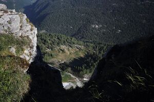 Gschwandtalm -bräuningzinken 50579 2017-06-11.jpg