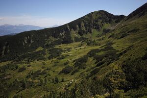 Gumpenkar 54423 2017-07-05.jpg