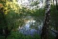 Höferteich 58722 2014-05-26.jpg