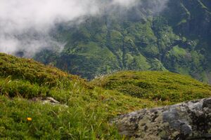 Im stegerkar 23895 2008-07-09.jpg