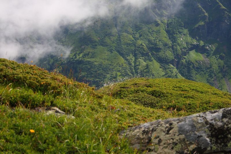 Datei:Im stegerkar 23895 2008-07-09.jpg