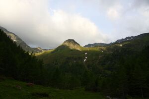 Katschtal 92596 2015-06-18.jpg