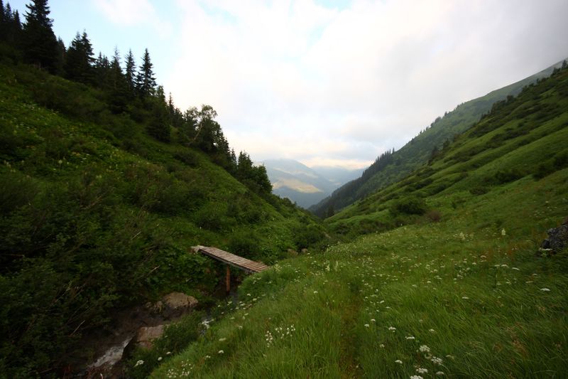 Datei:Mößnakarbach 1307 13-07-12.jpg