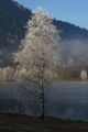 Putterersee - winter 17139 2013-12-23.jpg