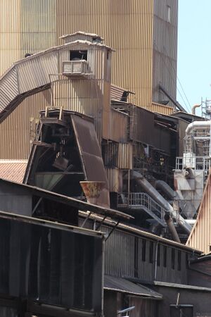 Rhi trieben 46283 2017-05-18.jpg