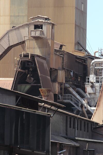 Datei:Rhi trieben 46283 2017-05-18.jpg