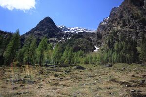 Sattental 45893 2017-05-19.jpg