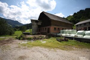 Schrempf vlg Moser0002.jpg