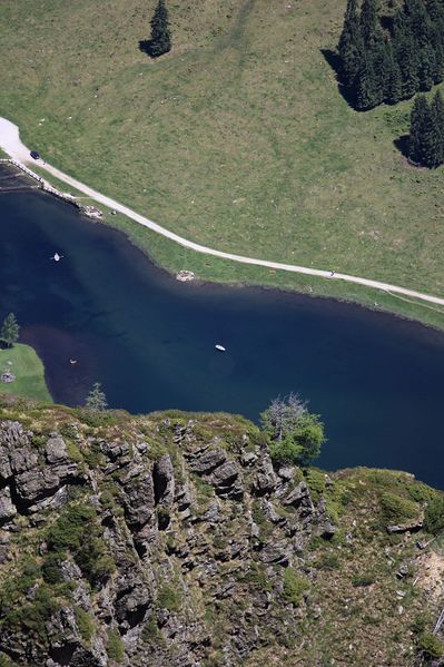 Datei:Steir.bodensee -labeck 49508 2017-06-09.jpg