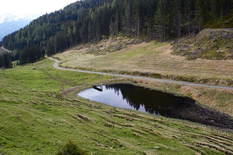 Datei:Stubeggsattel-0170-2021-05-24 07.50.20.jpg