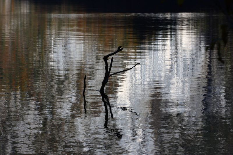 Datei:Toplitzsee 78105 2014-11-03.jpg