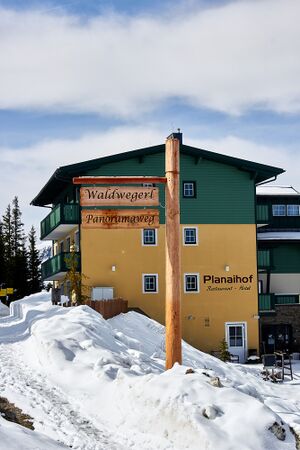 Waldwegerl planai-0048-2023-05-19.jpg