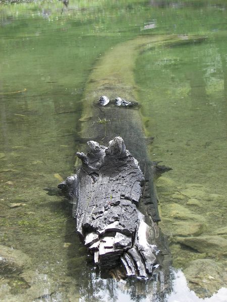 Datei:Ahornsee 1711 2006-08-19.jpg