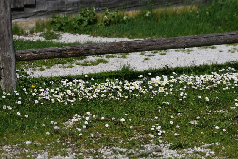 Datei:Breitlahnhütte 54875 2014-04-30.jpg