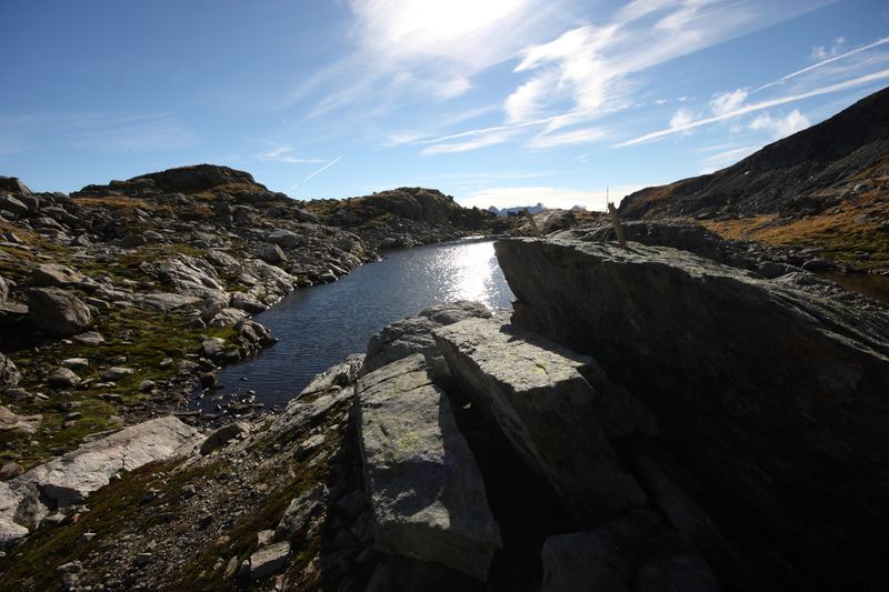 Datei:Goldlacken 0340 2013-10-08.jpg