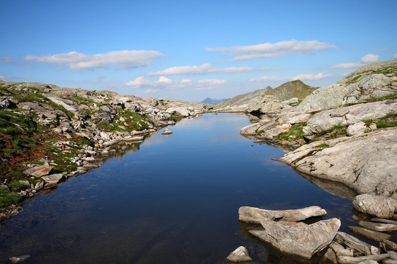 Datei:Goldlacken 0392 2008-08-12.jpg