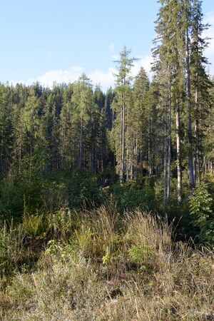 Grausen Straßen-BA-0042-2023-09-17.jpg