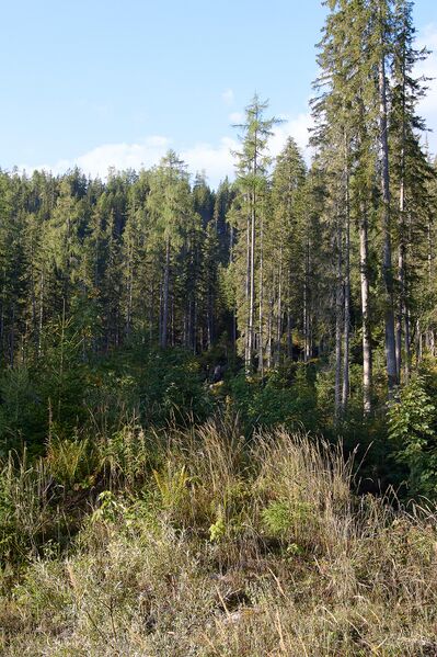 Datei:Grausen Straßen-BA-0042-2023-09-17.jpg