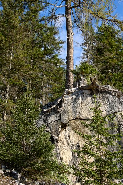 Datei:Grausen Straßen-BA-0058-2023-09-17.jpg