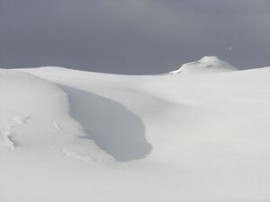 Guschen 46911 2006-02-27.jpg