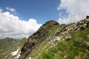 Krautwasch 0331 13-07-09.jpg