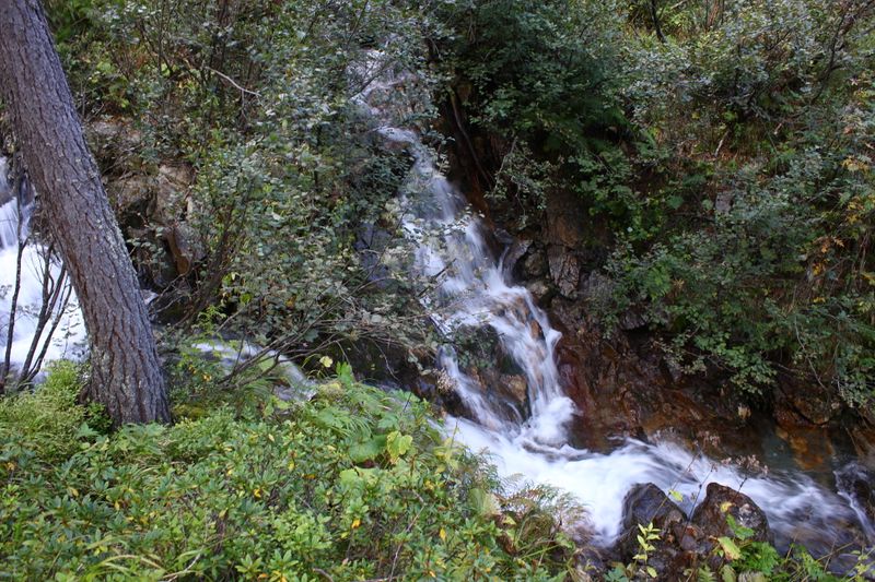 Datei:Neualmbach kleinsölk 72466 2014-09-17.JPG