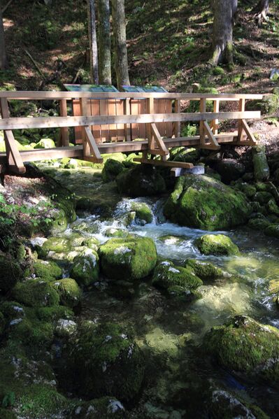 Datei:Strummern mühlreith 47257 2017-05-17.jpg