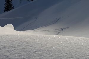 Wildkar 2715 2007-12-18.jpg