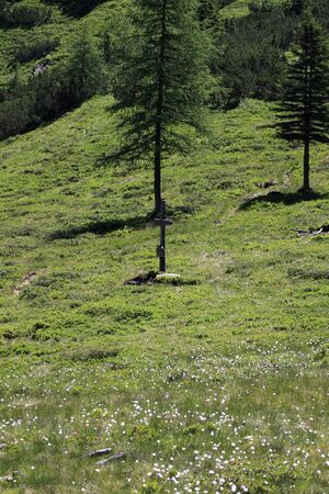 Almkreuz erzherz joh gumpenkar 51906 2017-07-05.jpg