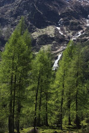 Gamskarbach sattental 46044 2017-05-19.jpg