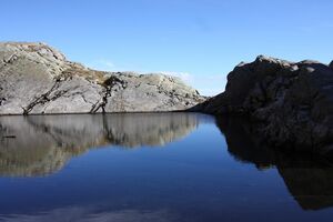 Goldlacken 0231 2013-10-08.jpg